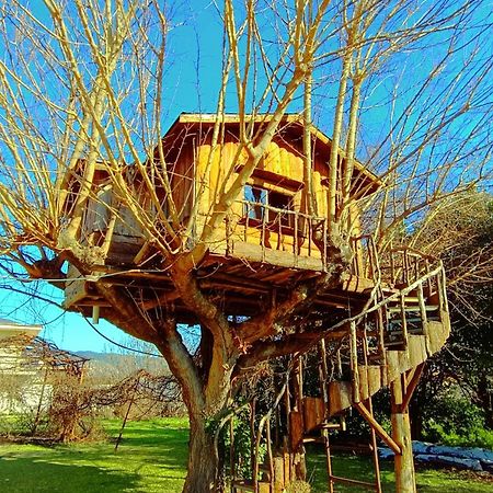 Ferienwohnung Το Πέτρινο Σπιτάκι Tríkala Exterior foto