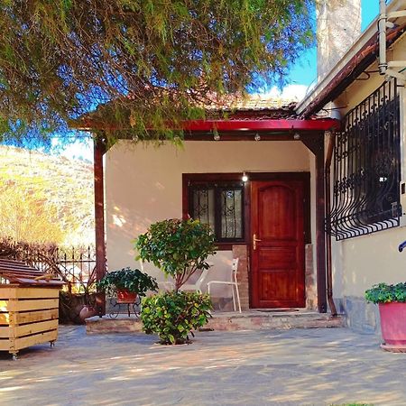 Ferienwohnung Το Πέτρινο Σπιτάκι Tríkala Exterior foto